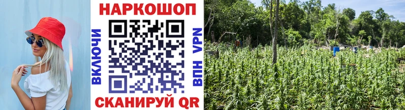 Виды наркотиков купить Знаменск A-PVP  Мефедрон  ГАШИШ  COCAIN 