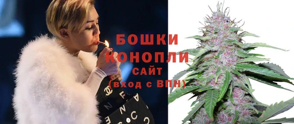 мдпв Новозыбков