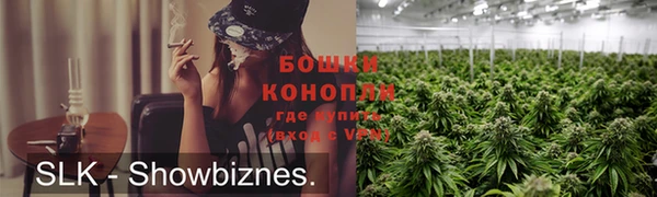 PSILOCYBIN Новодвинск