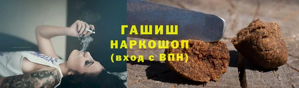 мдпв Новозыбков