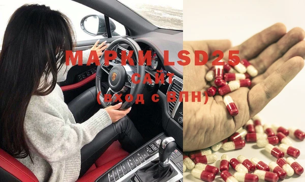 PSILOCYBIN Новодвинск