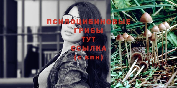 стаф Нязепетровск