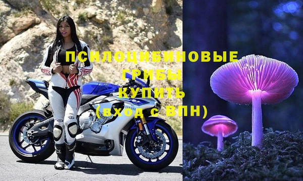 mdpv Весьегонск