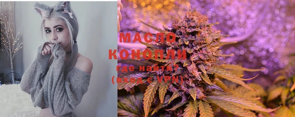 мдпв Новозыбков