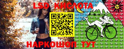 молекула духа Балахна