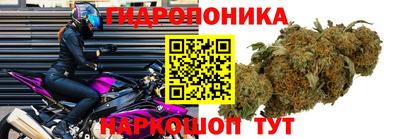 соль ск Гатчина