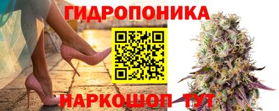 соль ск Гатчина