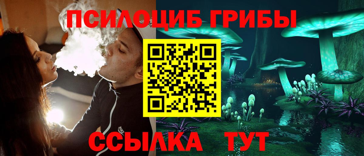 Псилоцибиновые грибы мицелий Знаменск
