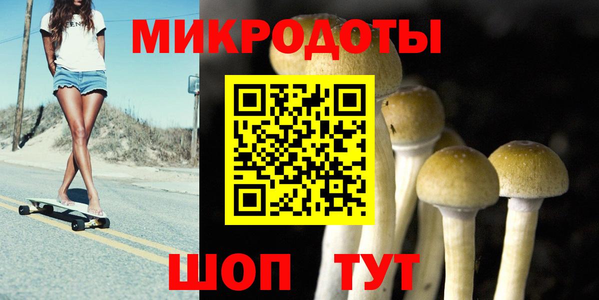 Псилоцибиновые грибы Cubensis Знаменск